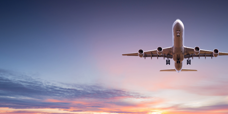 Devour the World: A Zombie’s Guide to Global Cuisines