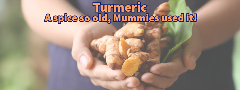 Turmeric: The Ancient Super Spice That Will Wake the Dead