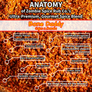 Zombie Spice Rub Co. | Bone Daddy | Go Spice Pouch to Get Hooked | Cajun Meets Masala Will Make Holla Yum
