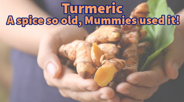 Turmeric: The Ancient Super Spice That Will Wake the Dead